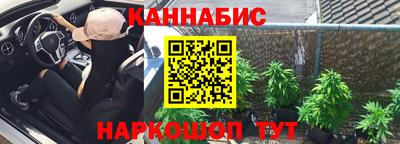 прущие грибы Шелехов