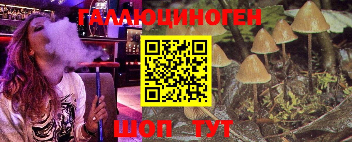 Псилоцибиновые грибы MAGIC MUSHROOMS  Псилоцибиновые грибы Cubensis  Людиново  Вход с VPN 