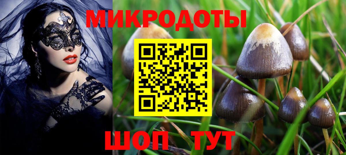 Галлюциногенные грибы ЛСД Людиново