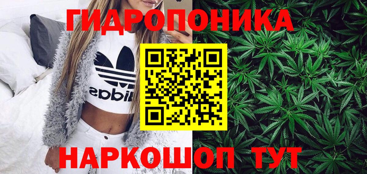 Канабис индика Людиново